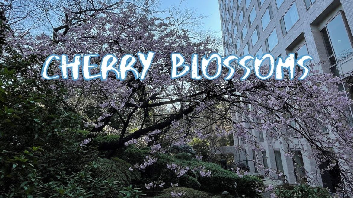 [Vlog] Japanese Garden in Grand Prince Hotel Takanawa with Cherry Blossoms | Tokyo Sightseeing
