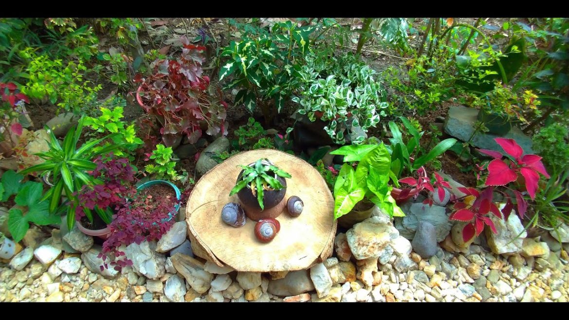 BACKYARD GARDEN LANDSCAPING