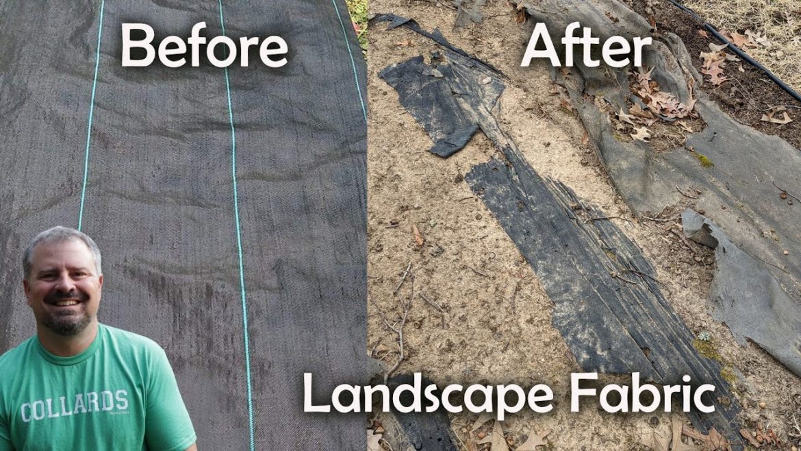 Should you use Landscape Fabric Weed Barrier in the Garden? Should you use Landscape Fabric Weed Barrier in the Garden?