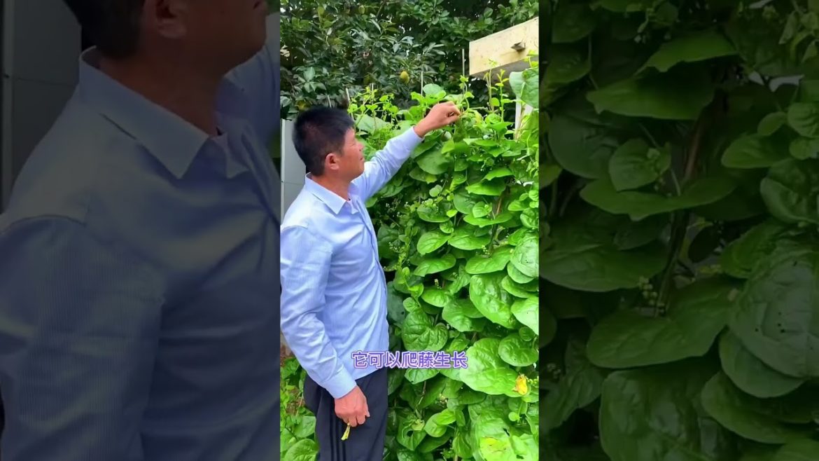 October 2022 Tips for garden at home with me October 2022 Tips for garden at home with me