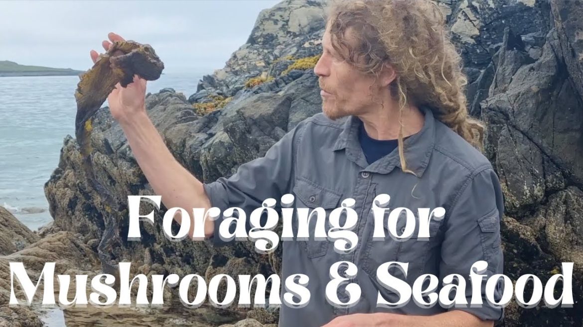 Foraging for Mushrooms and Seafood Foraging for Mushrooms and Seafood