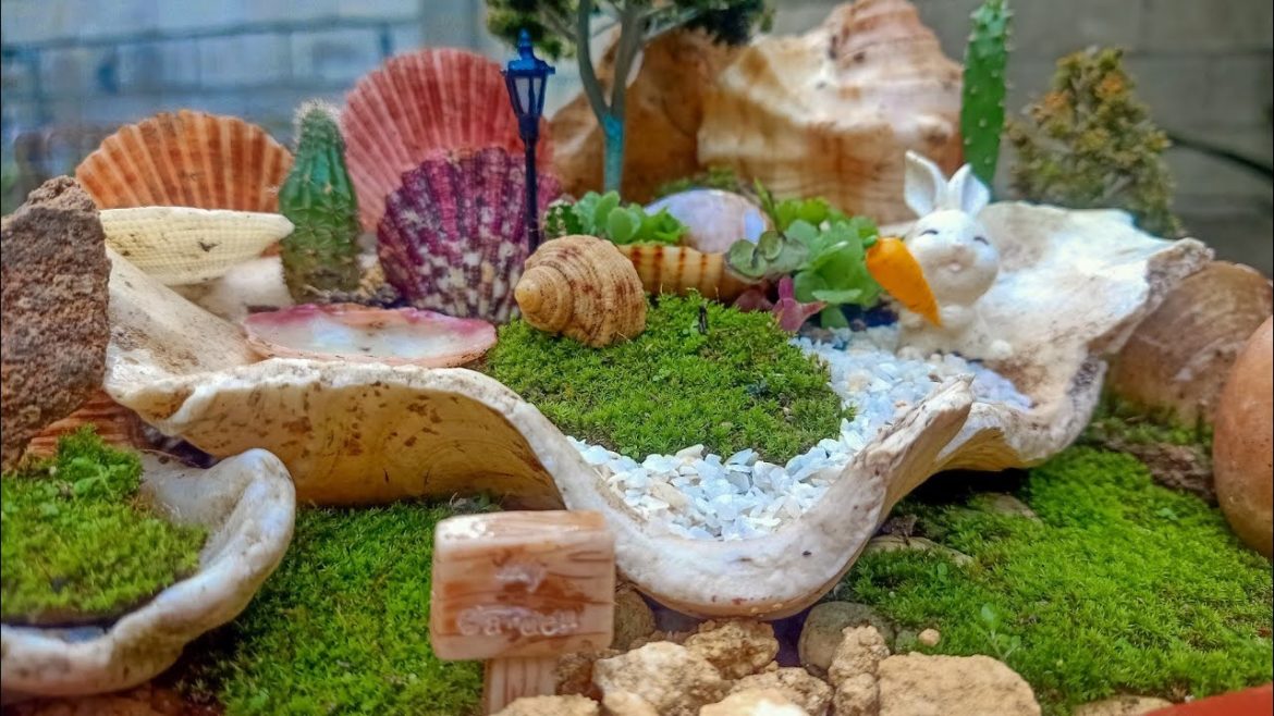 DISH GARDEN DESIGN IDEAS / Sea Shells & Clams Garden 🐚🌿