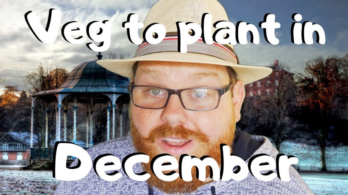 What to plant in December - Seeds to sow  - Gardening ideas - vegetable gardening