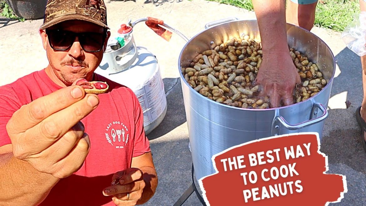 How to Make Boiled Peanuts | Fresh from the Backyard Garden!