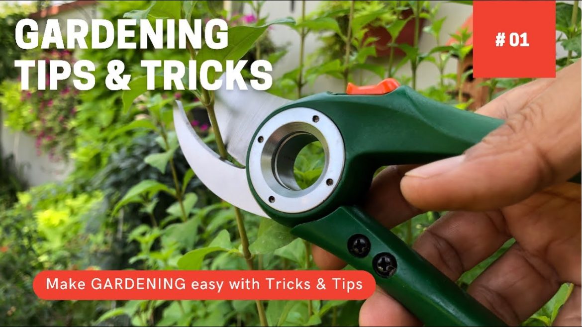 GARDENING TIPS & TRICKS #01