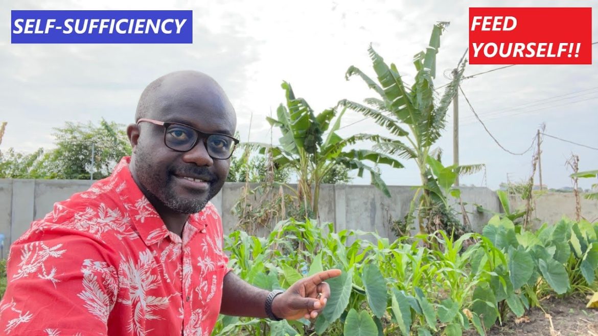 SELF-SUFFICIENCY | FEED YOURSELF SELF-SUFFICIENCY | FEED YOURSELF