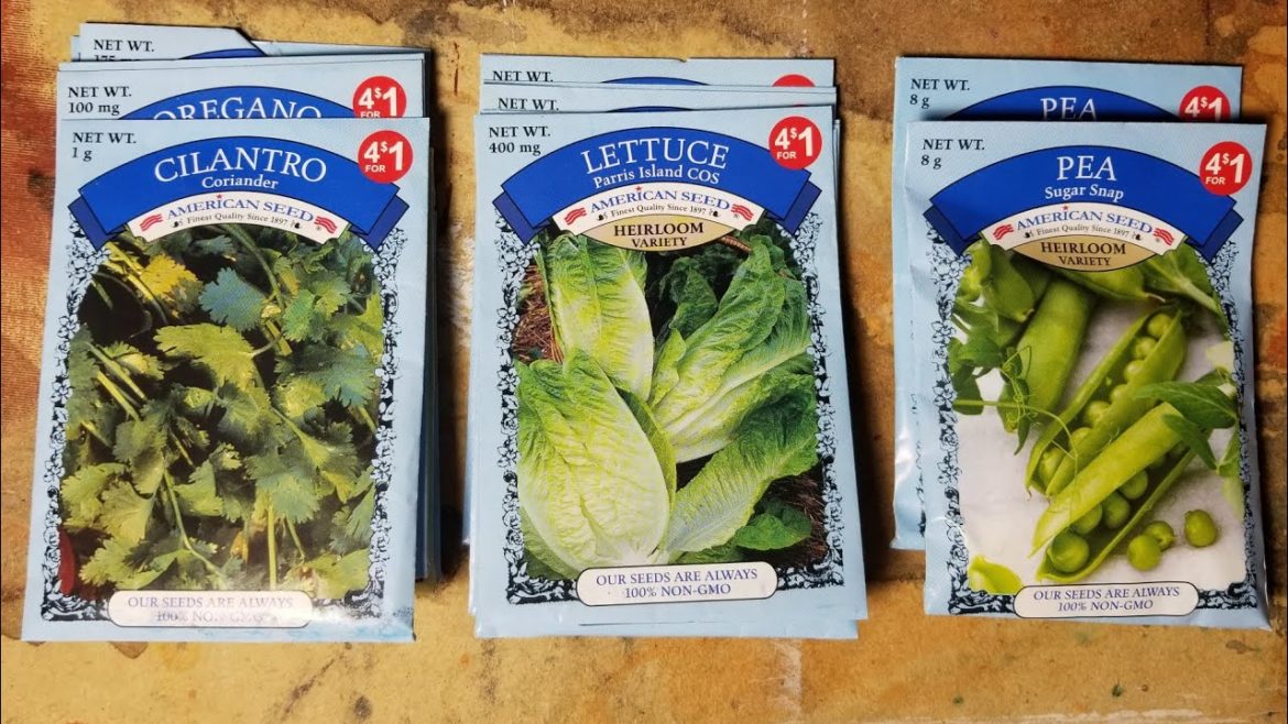 Starting a Dollar Tree edible container garden: companion planting plan