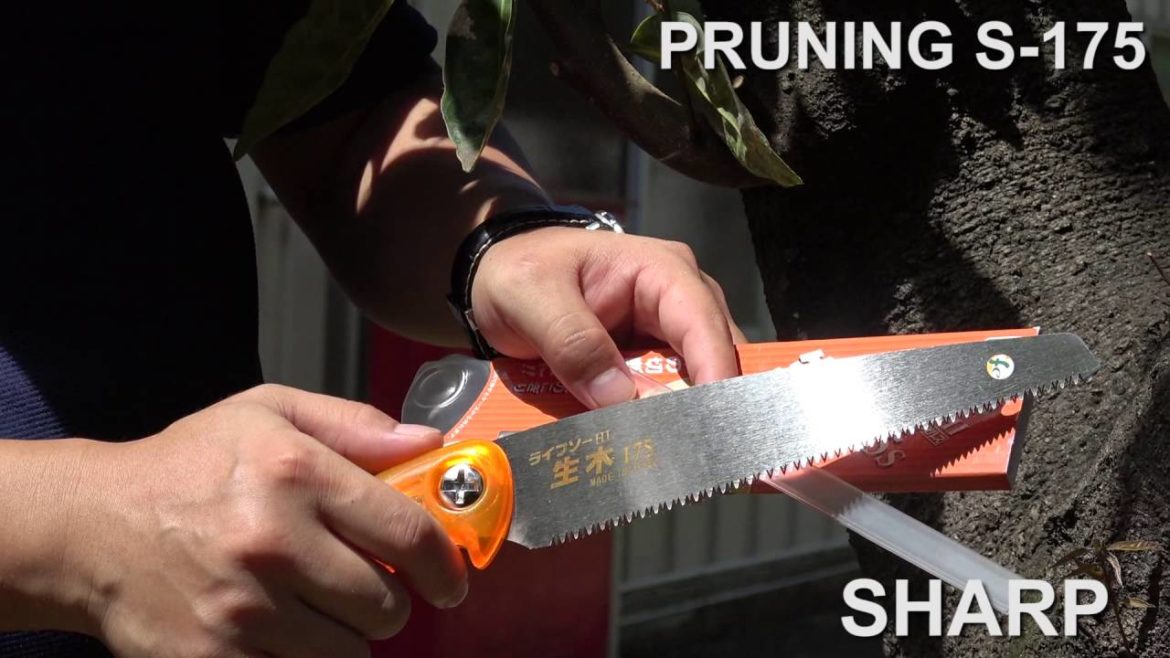 Japanese Gardening handsaw/ ZETSAW Pruning s-175