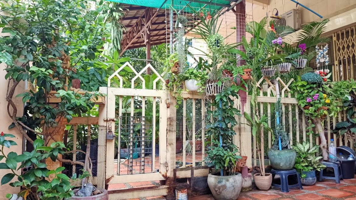 Exploring my front yard garden design, just for coffee & tea relax