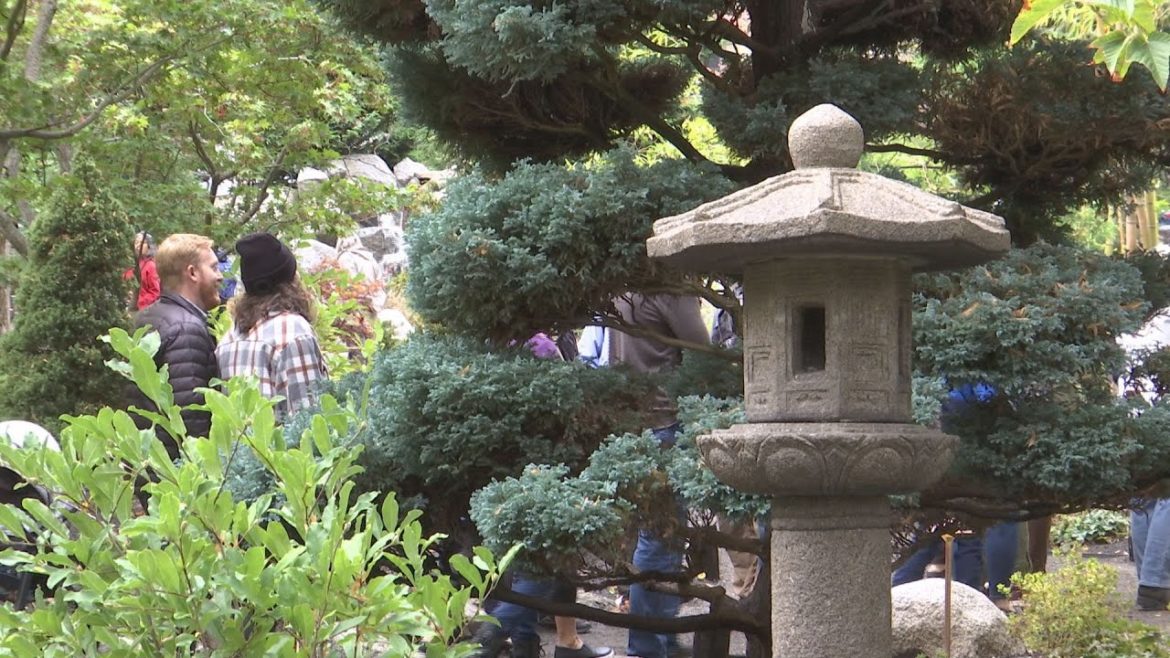 Ashland's Japanese Garden is officially open