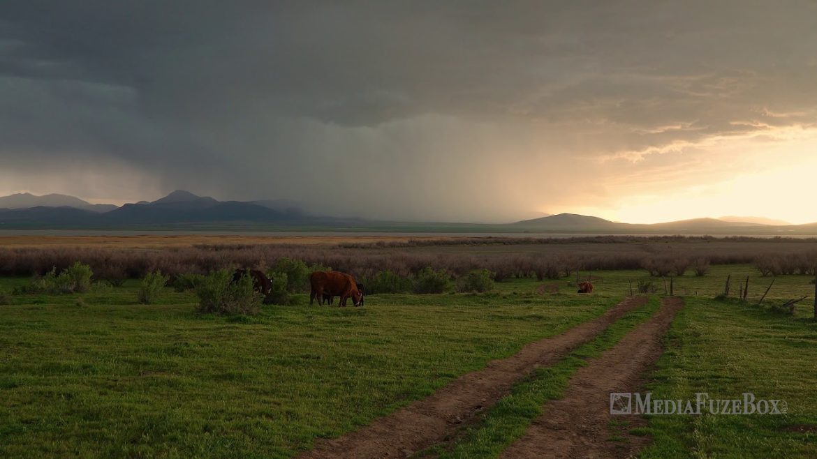Rain storm moving over landscape as lightning strikes looking down dirt road