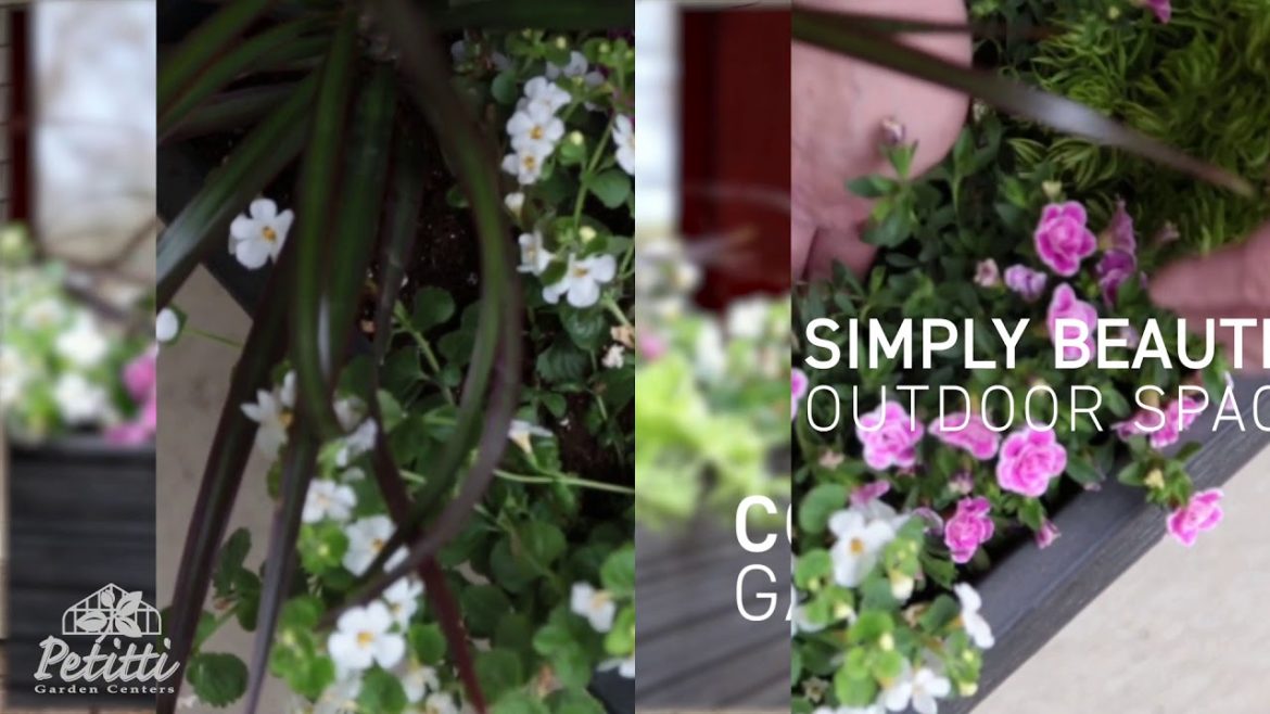 Petitti Container Gardening - May 2019