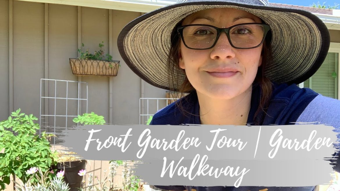 Front Yard Garden Tour | Garden Walkway