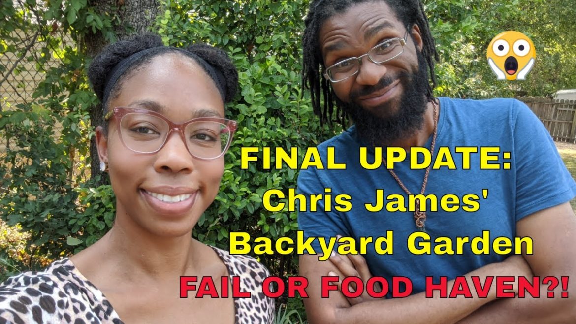 Final Update: Chris James' Backyard Garden Final Update: Chris James' Backyard Garden
