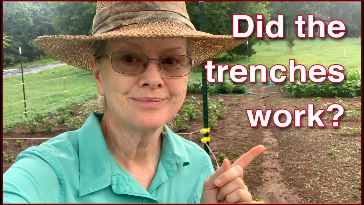 COMPLETE Garden Update after TOO MUCH RAIN! WHAT'S LEFT?