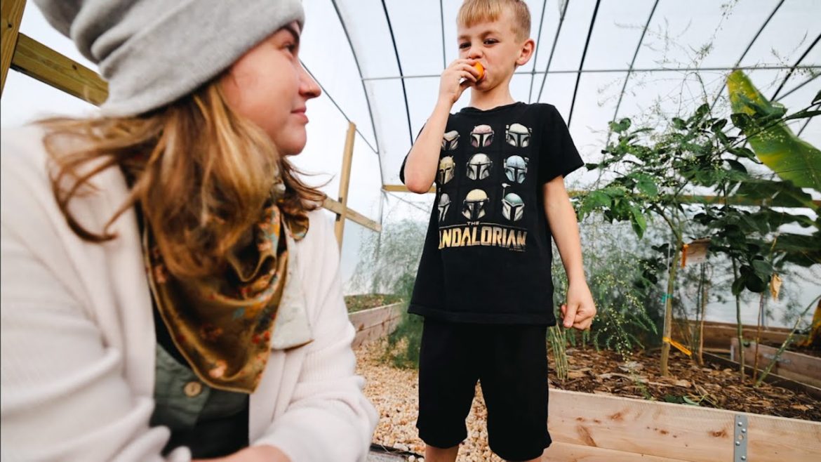 Roots and Refuge Farm: Always make the bouquet (Garden updates with Ben) | VLOG Always make the bouquet (Garden updates with Ben) | VLOG