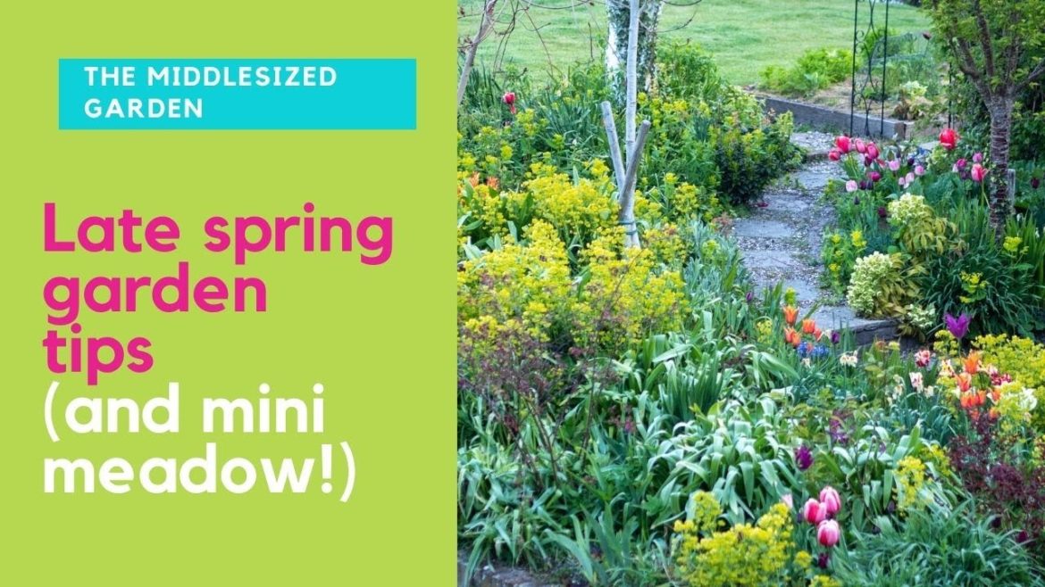 Late spring garden tour & tips – plus what to do now for a mini meadow! Late spring garden tour & tips - plus what to do now for a mini meadow!