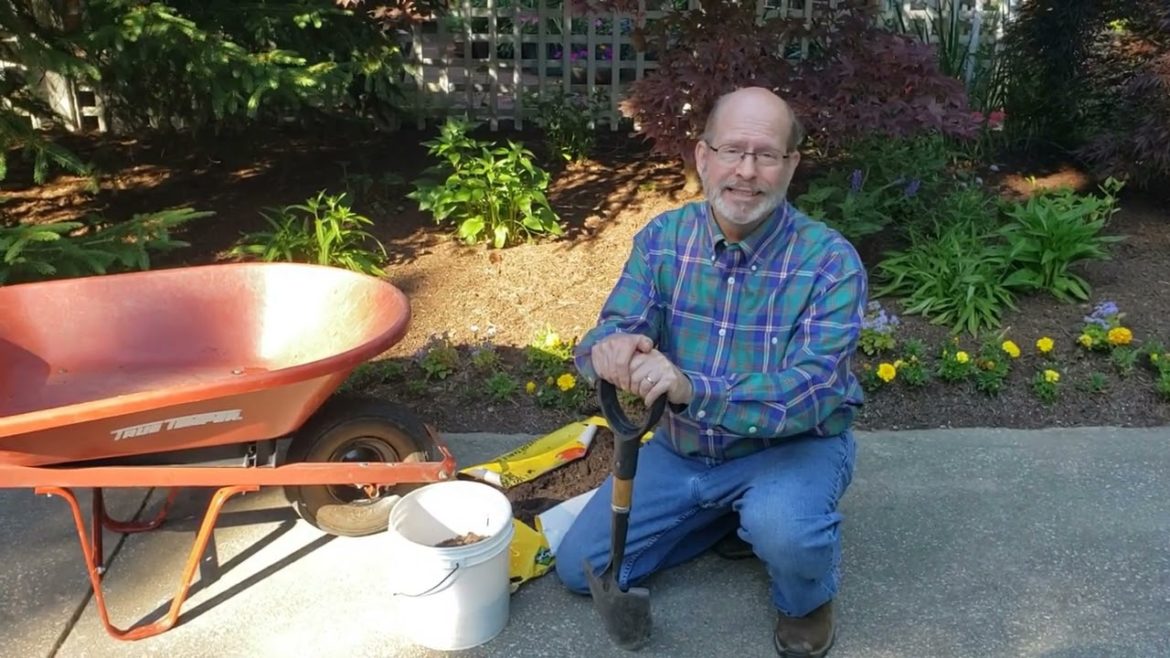 Gardening Tips for Back Pain Patients