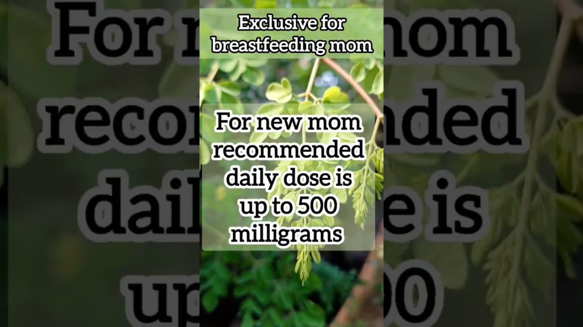 How To Increase Breast Milk Supply Naturally #naturalremedies #moringaleaves #shorts #ytshorts