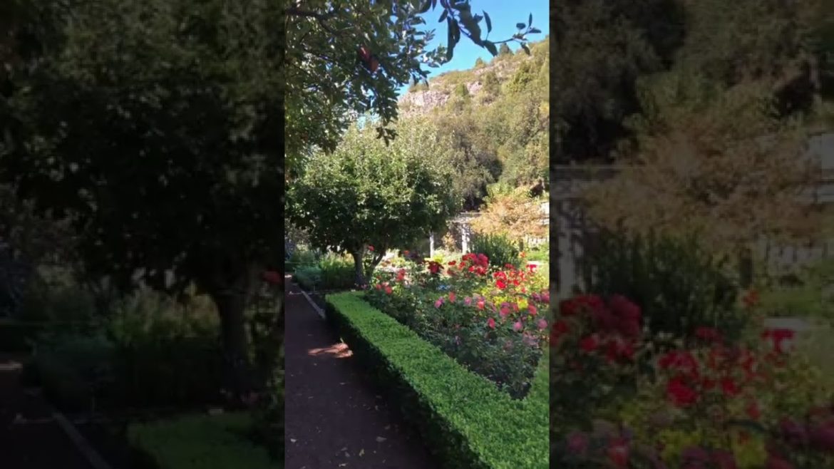 The Most Calming Video Ever tiktok matilda4967