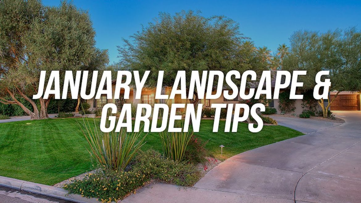 January Landscape and Garden Tips
