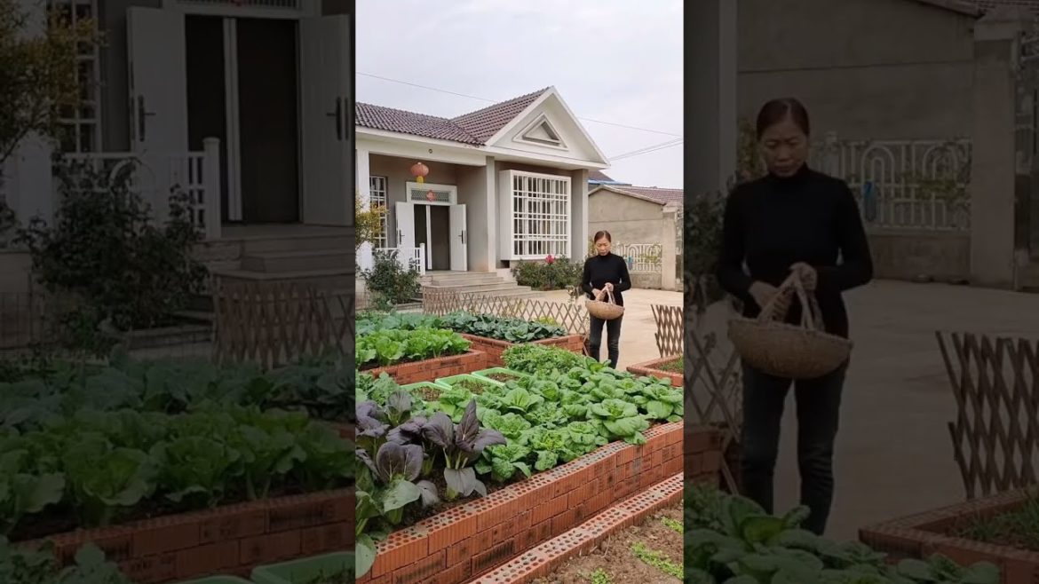 Wow! Amazing Vegetable Garden #shorts #naturalife #rurallife