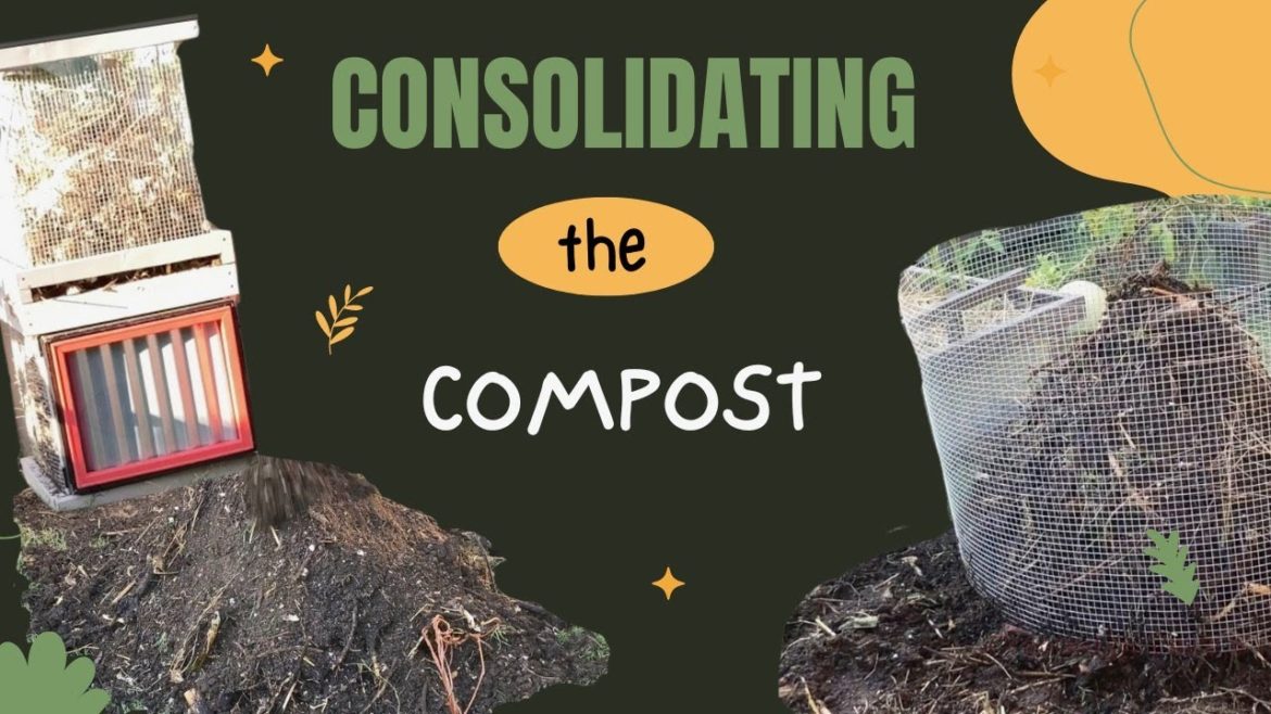 Making and Maintaining Compost in a Small Backyard Garden Making and Maintaining Compost in a Small Backyard Garden