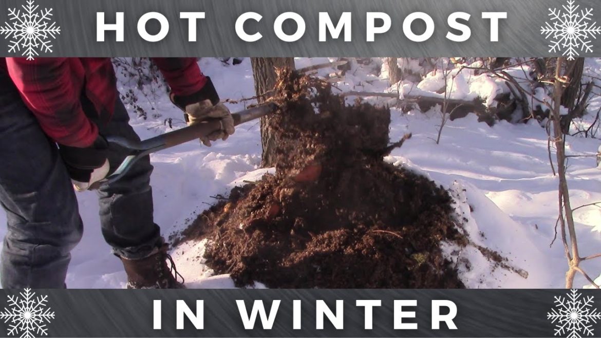 How To Compost In Winter How To Compost In Winter