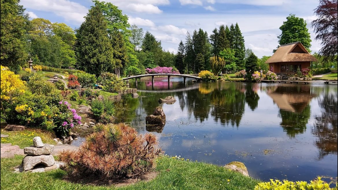 Miss Christie's Japanese Garden / Scotland's History Miss Christie's Japanese Garden / Scotland's History