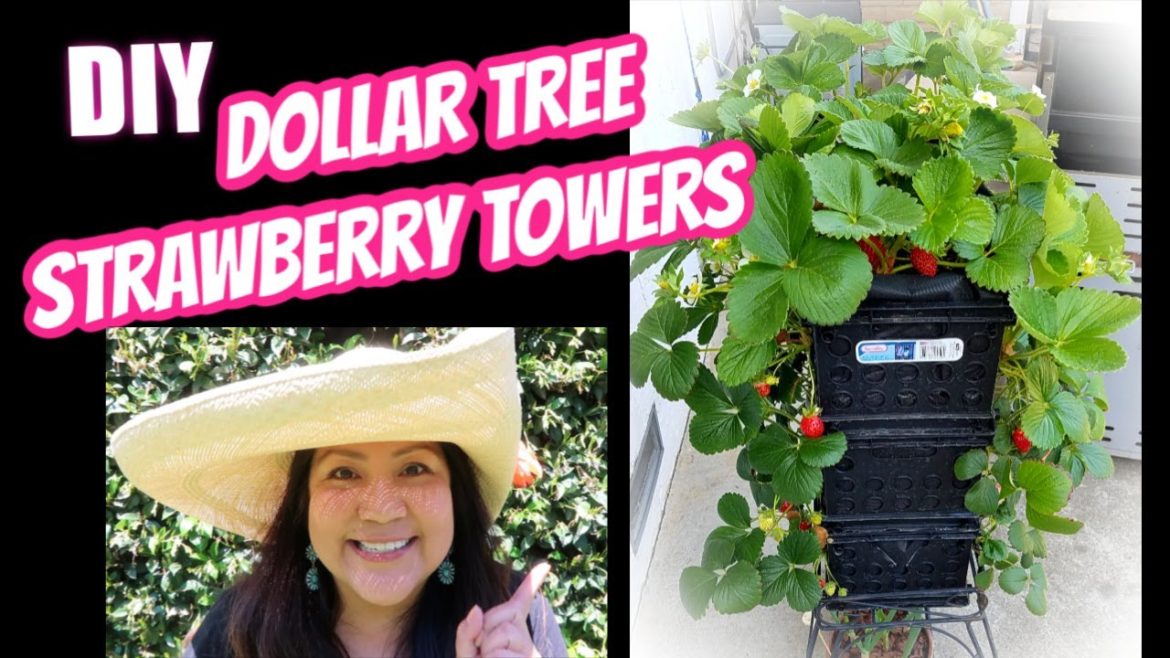 GROWING STRAWBERRIES in Crate Towers | CONTAINER GARDENING