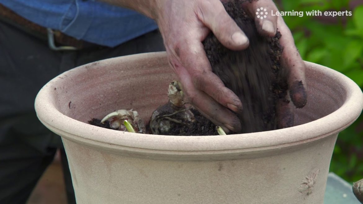 Container Gardening with Chris Beardshaw Trailer
