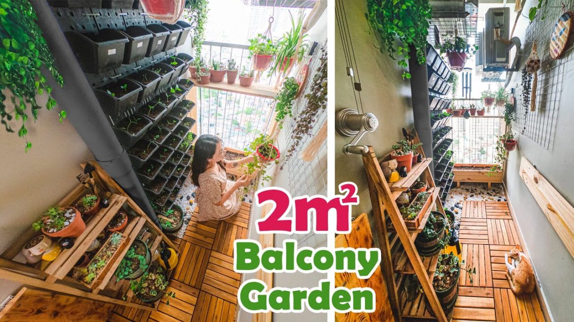 #21 How I Makeover My Tiny Balcony On a Budget (150$) 🌱| DIY Balcony Transformation Ep02 #21 How I Makeover My Tiny Balcony On a Budget (150$) 🌱| DIY Balcony Transformation Ep02