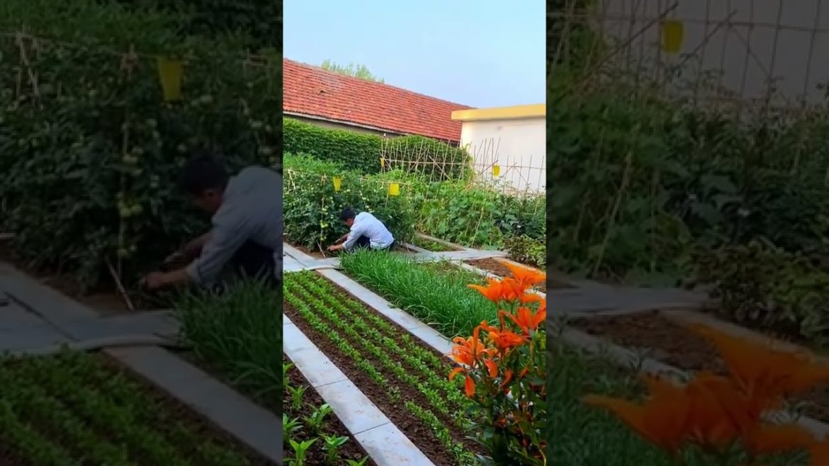 October 2022 Tips for garden  at home with me