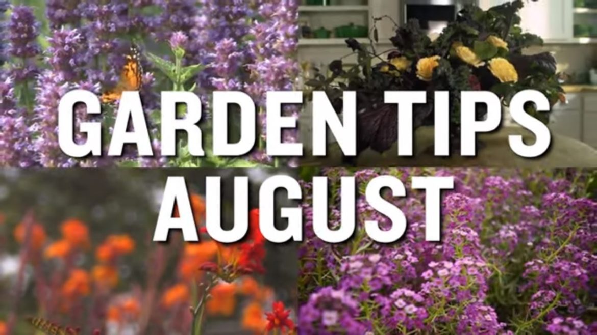 August Garden Tips and Projects: P. Allen Smith (2019) August Garden Tips and Projects: P. Allen Smith (2019)