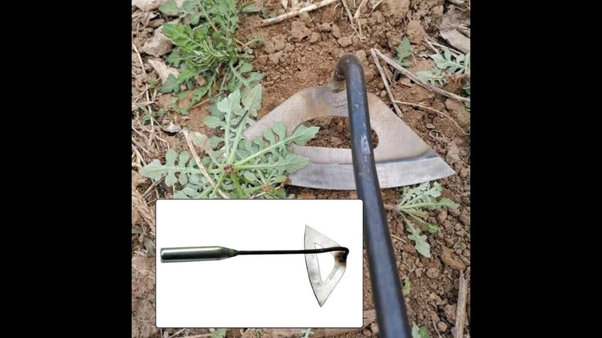 Weeding Rake Planting Vegetable Farm Garden Tools Agriculture Tool Weeding Accessories | #shorts