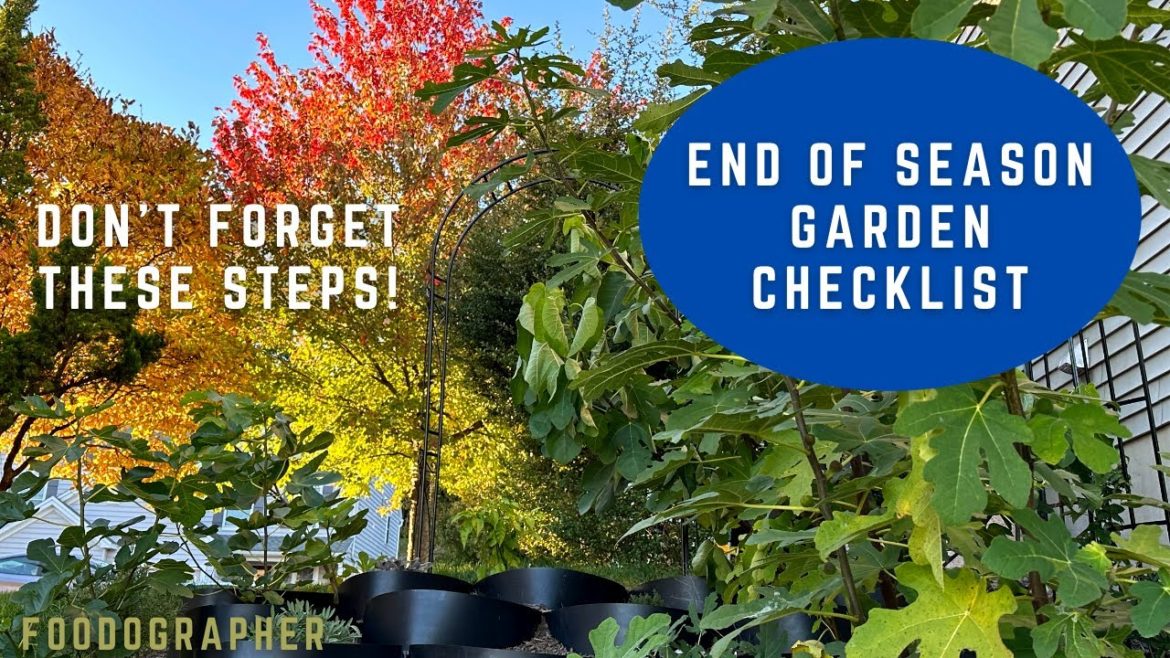 End of Season Gardening Checklist - Don't Forget These Tips! Figs, Herbs, and More.