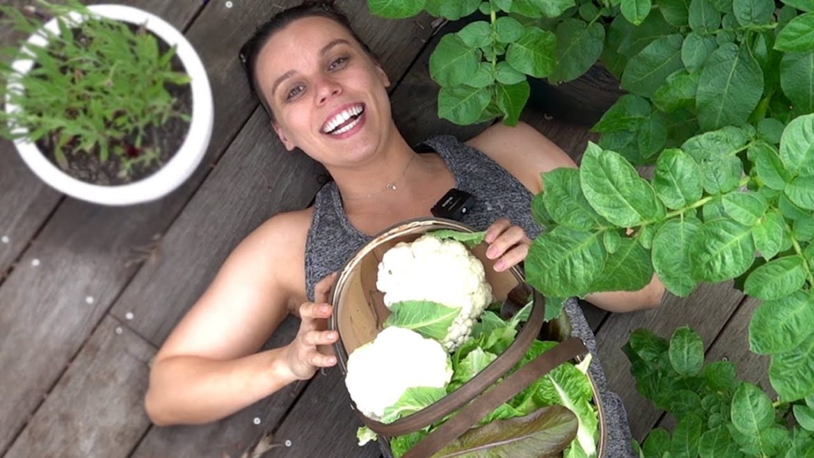 I can’t believe I GREW THIS IN MY GARDEN!