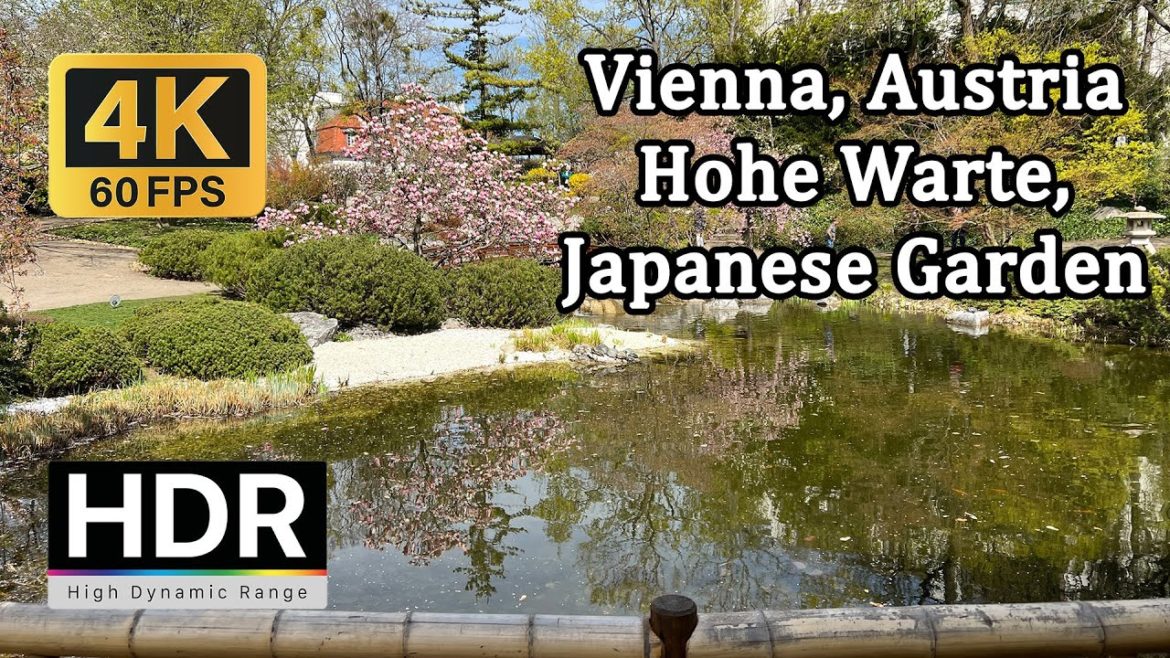 【4K60 HDR】 Walking in Vienna: Hohe Warte, Japanese Garden and Main Street Döbling - Spring 2022