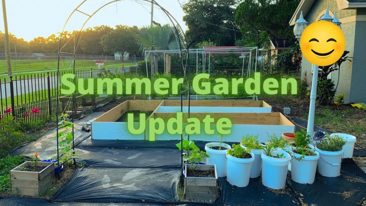Summer Garden l June Garden Update l Front Yard Garden l Family Day in the Garden l GWM Summer Garden l June Garden Update l Front Yard Garden l Family Day in the Garden l GWM