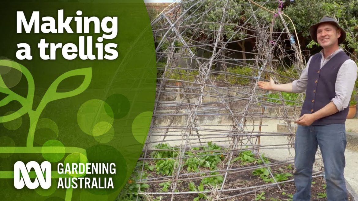 How to build a trellis for your climbing plants | DIY Garden Projects | Gardening Australia