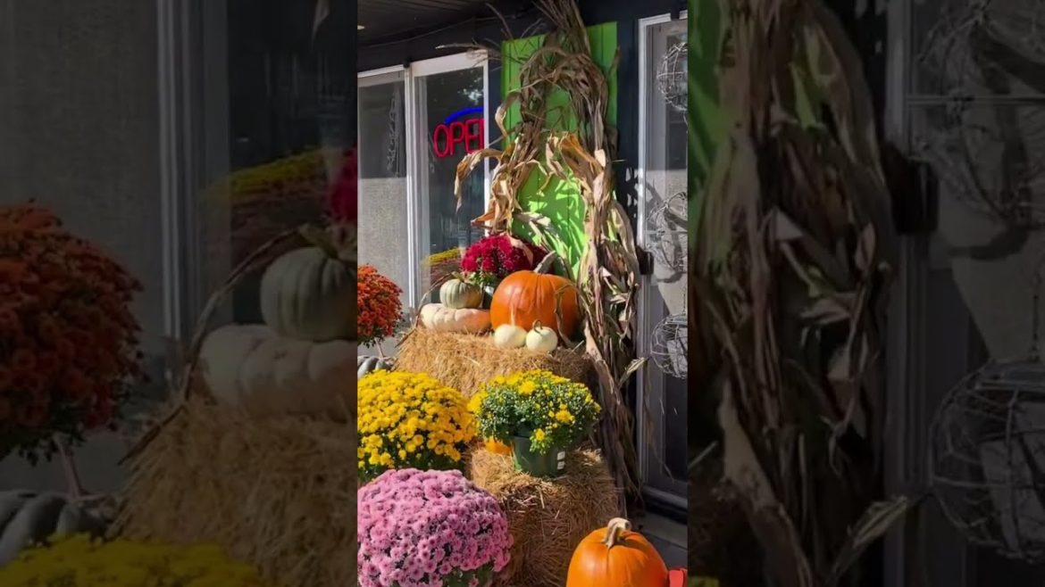 Shout out to SimTech Outdoor Solutions & Landscape Supplies, Glow Path Technology Products #shorts Shout out to SimTech Outdoor Solutions & Landscape Supplies, Glow Path Technology Products #shorts