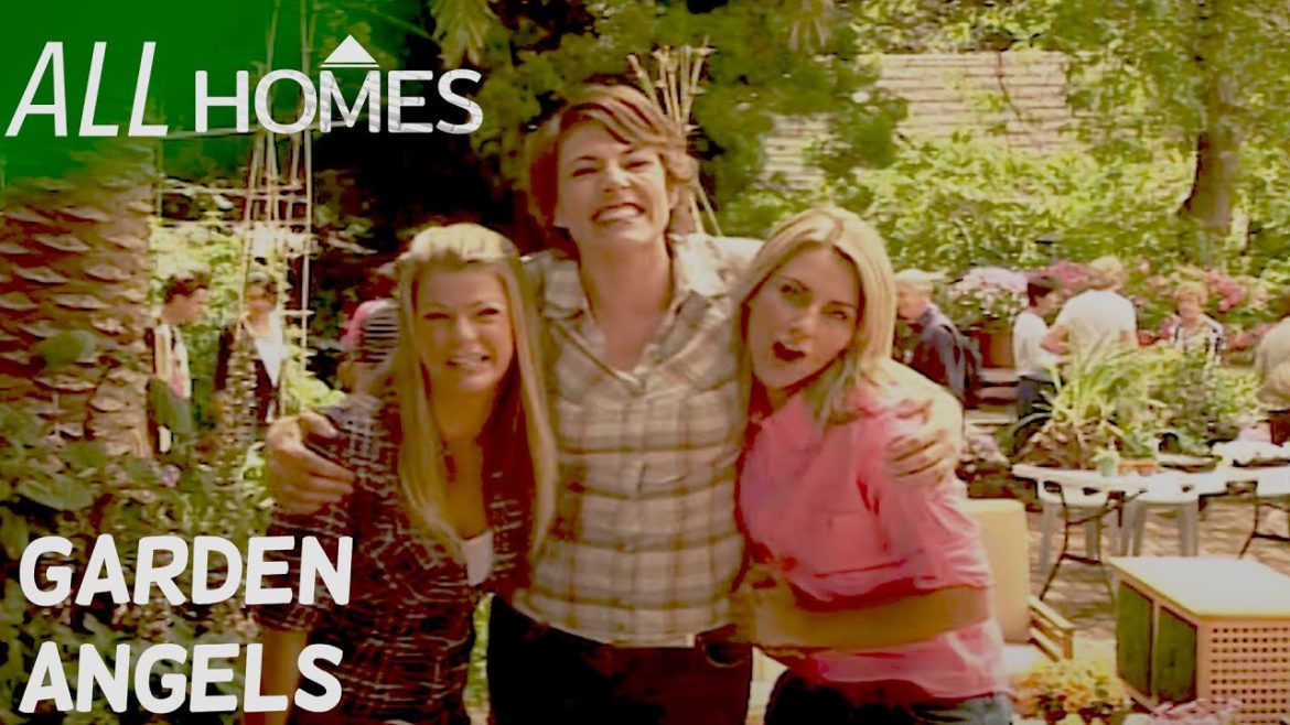 Season Finale: Tips and Trick for Customers | Garden Angels | All Homes