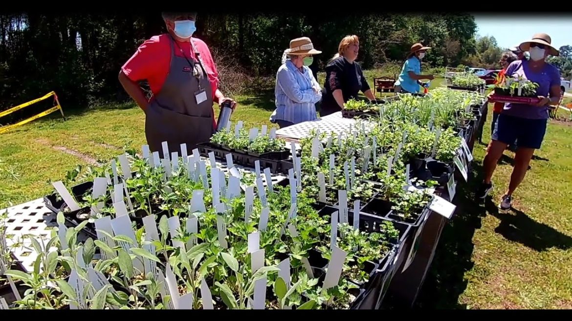 Master Gardener's Tips and Plants Sell | Lenoir County Cooperative Extension Office & LCC