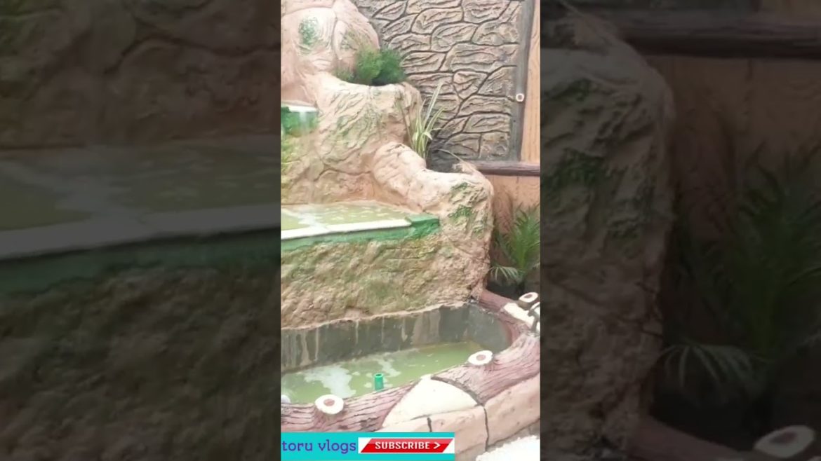 how to design a small garden  my project of garden design in noshehra