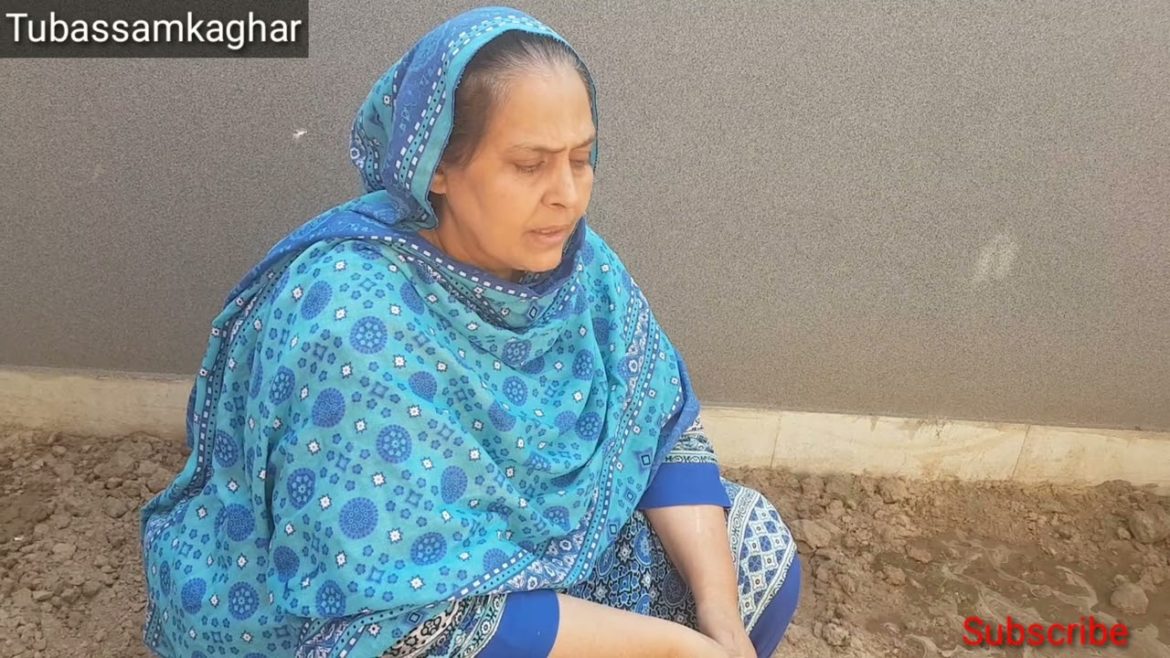 Gardening Vlog/ Radish,Spanich and Green Beans Growth of 15 Days Result #gardeningvlog Gardening Vlog/ Radish,Spanich and Green Beans Growth of 15 Days Result #gardeningvlog