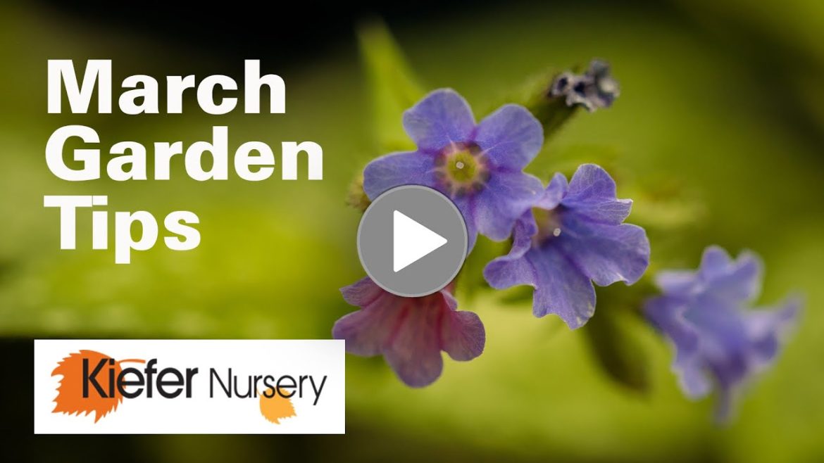 Kiefer's March Garden Tips