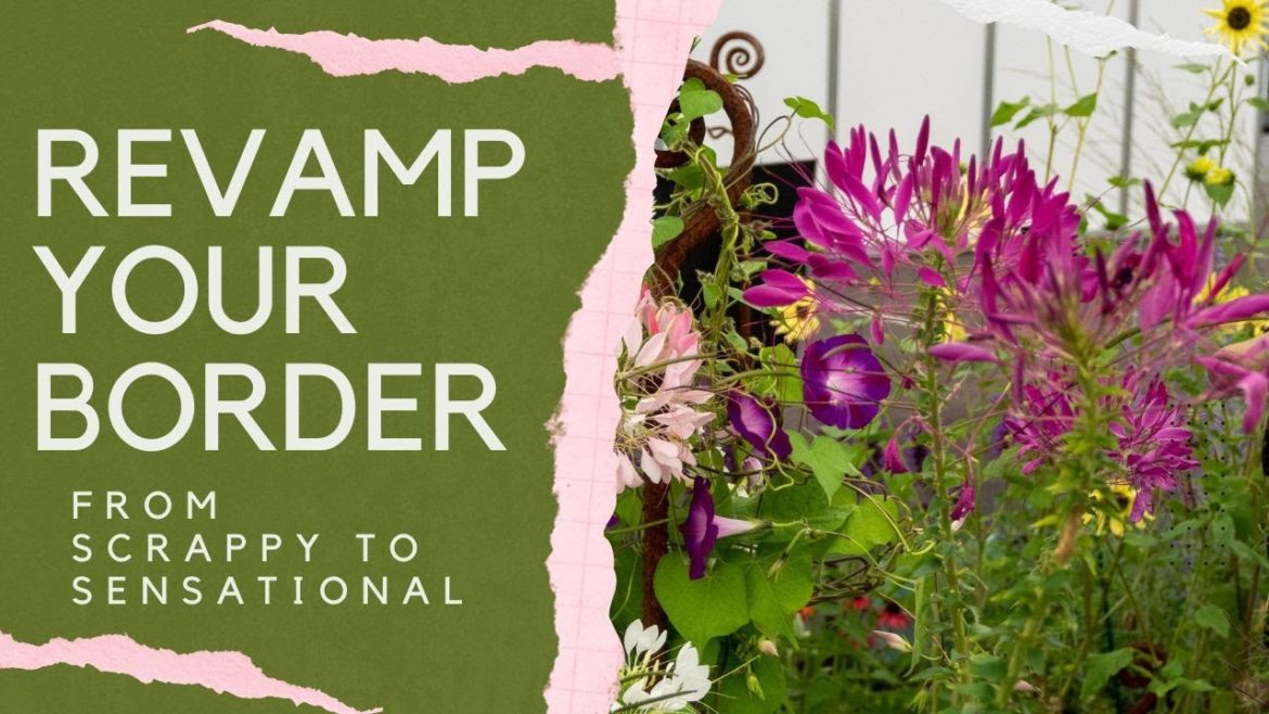 Designing a new border – top tips from garden experts Designing a new border - top tips from garden experts