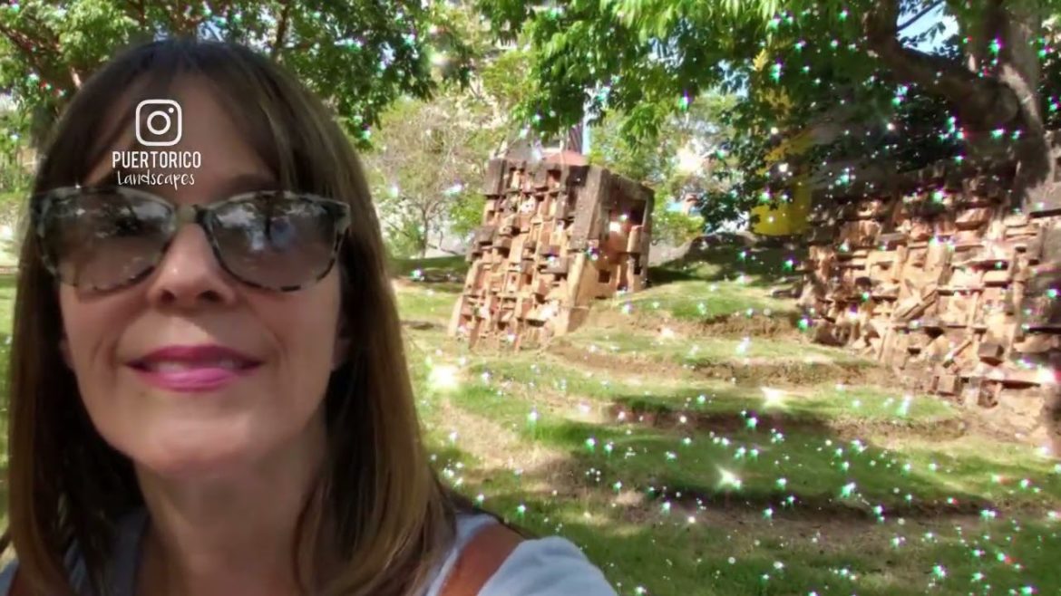 The Beautiful #botanicalgardens at the #museum of Arts of #puertorico