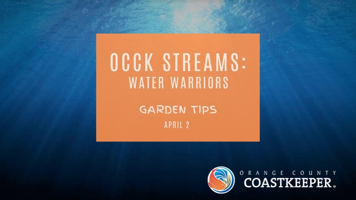 OCCK Streams – Water Warriors: on Garden Tips 4.2