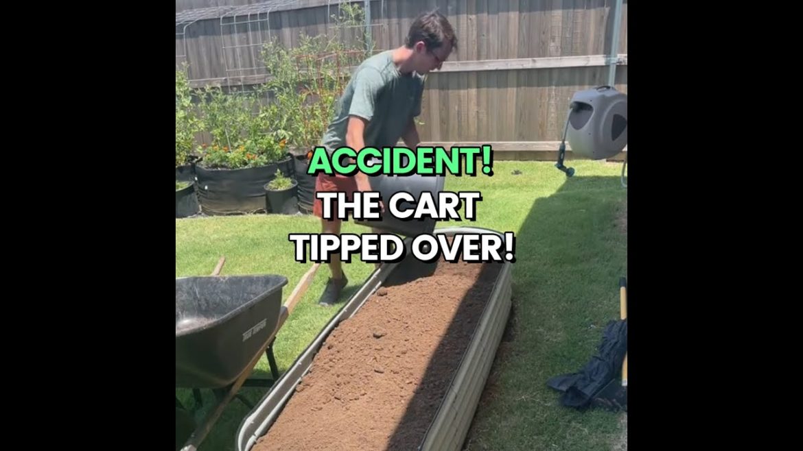 LOL When Filling The Garden Bed, The Trolley Turned Over By Itself LOL When Filling The Garden Bed, The Trolley Turned Over By Itself